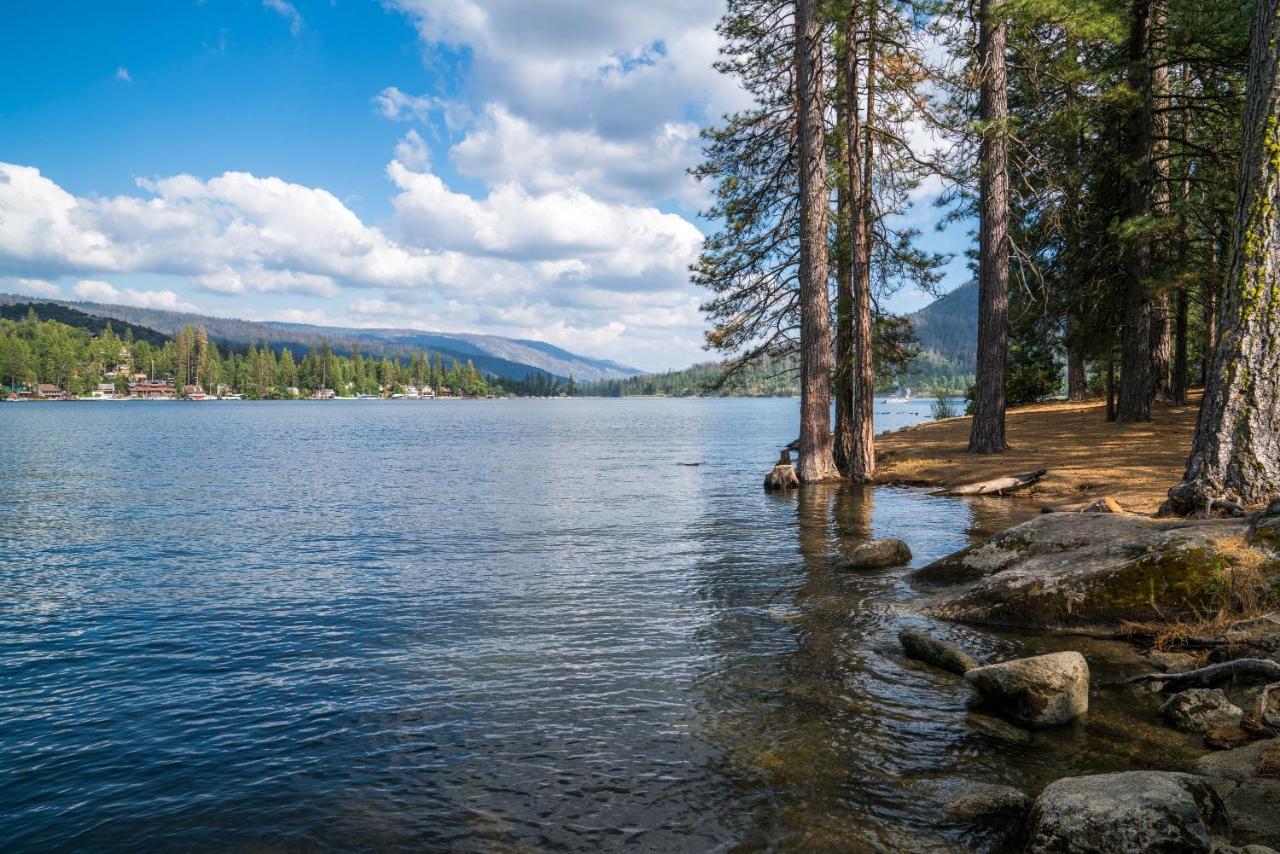 Fairfield Inn & Suites By Marriott Oakhurst Yosemite Kültér fotó